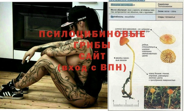 ALPHA-PVP Верея