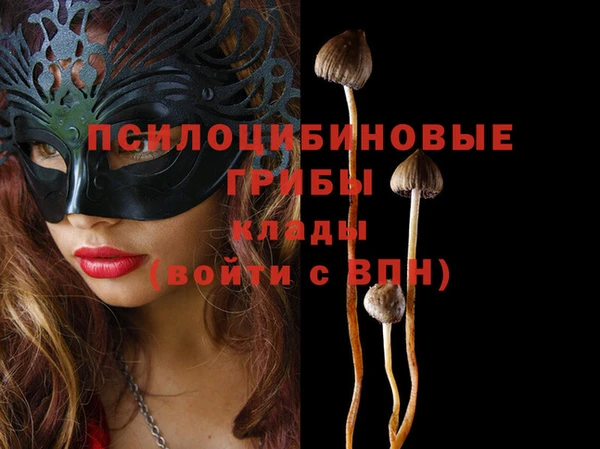 каннабис Верхний Тагил